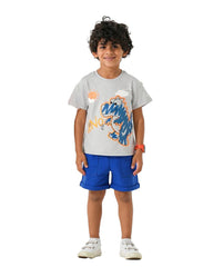 Boys Dino Graphic Set | Grey - Remint Kids Fashion